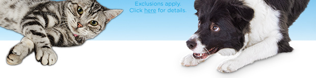 Exclusions apply. Click here for details.