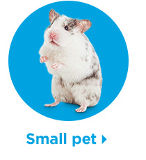 Small pet.
