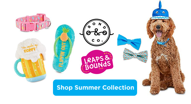 Shop Summer Collection.