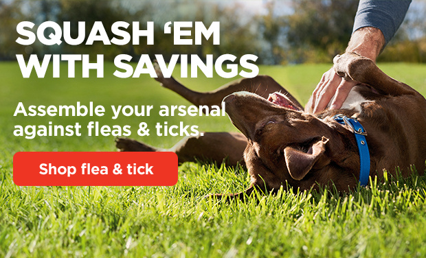 Squash 'em with savings. Assemble your arsenal against fleas & ticks. Shop flea & tick.