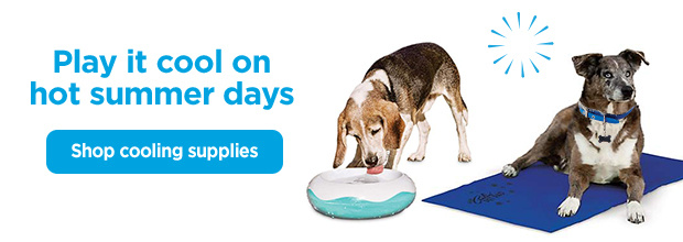 Play it cool on hot summer days. Shop cooling supplies.
