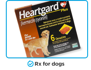 Rx for dogs.