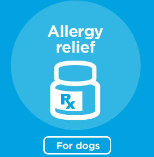 Allergy relief for dogs.