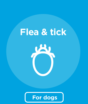 Flea & tick for dogs.