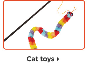 Cat toys.