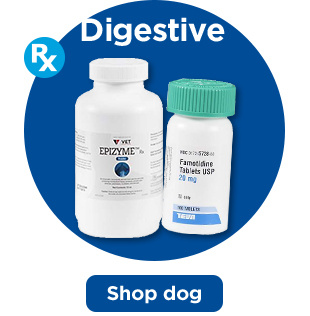 Digestive. Shop dog.