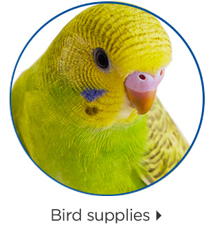 Bird supplies.