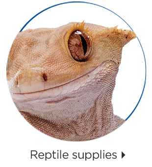 Reptile supplies.