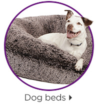 Dog beds.