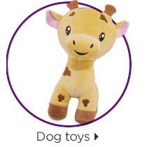 Dog toys.