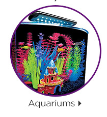 Aquariums.