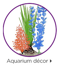 Aquarium décor.