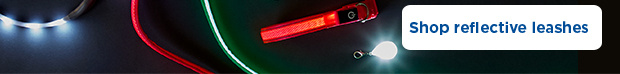 Shop reflective leashes.