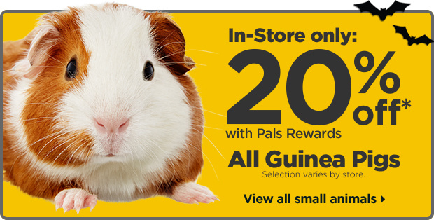 In-Store only: 20% off with Pals Rewards. All Guinea Pigs. Selection varies by store. View all small animals.