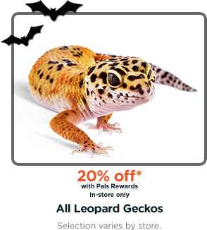 20% off* with Pals Rewards. In-store only. All Leopard Geckos. Selection varies by store.