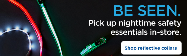 Be seen. Pick up nighttime safety essentials in-store. Shop reflective collars.