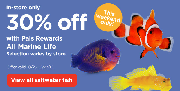 This weekend only! In-store only 30% off with Pals Rewards. All Marine Life. Selection varies by store. Offer valid 10/25-10/27/19. View all saltwater fish.