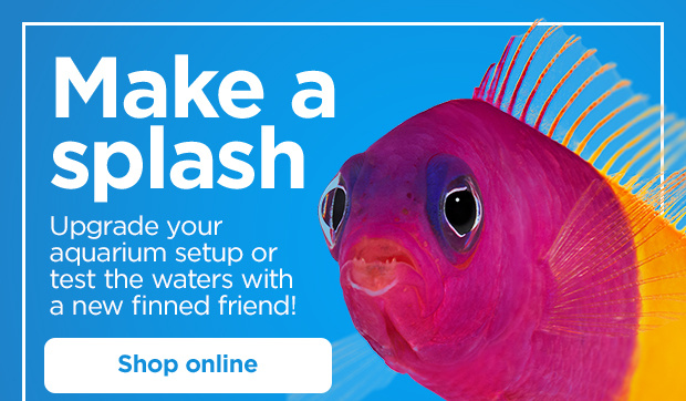 Make a splash. Upgrade your aquarium setup or test the waters with a new finned friend! Shop online.