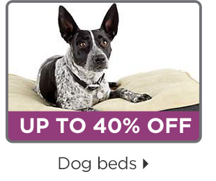 Up to 40% off. Dog beds.
