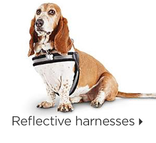 Reflective harnesses.