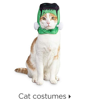 Cat costumes.