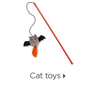 Cat toys.
