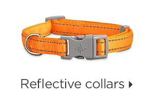 Reflective collars.