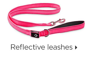 Reflective leashes.