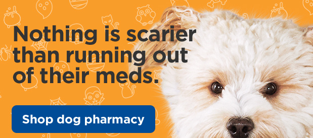 Nothing is scarier than running out of their meds. Shop dog pharmacy.