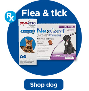Flea & tick. Shop dog.