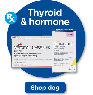 Thyroid & hormone. Shop dog.