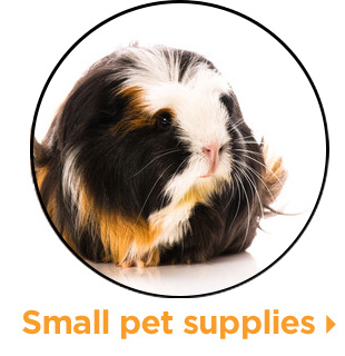 Small pet supplies.