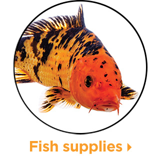Fish supplies.