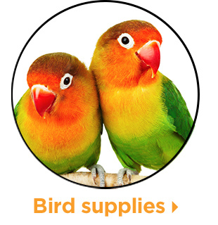 Bird supplies.
