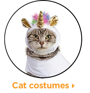 Cat costumes.