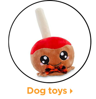 Dog toys.