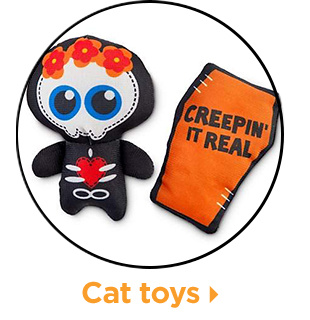 Cat toys.