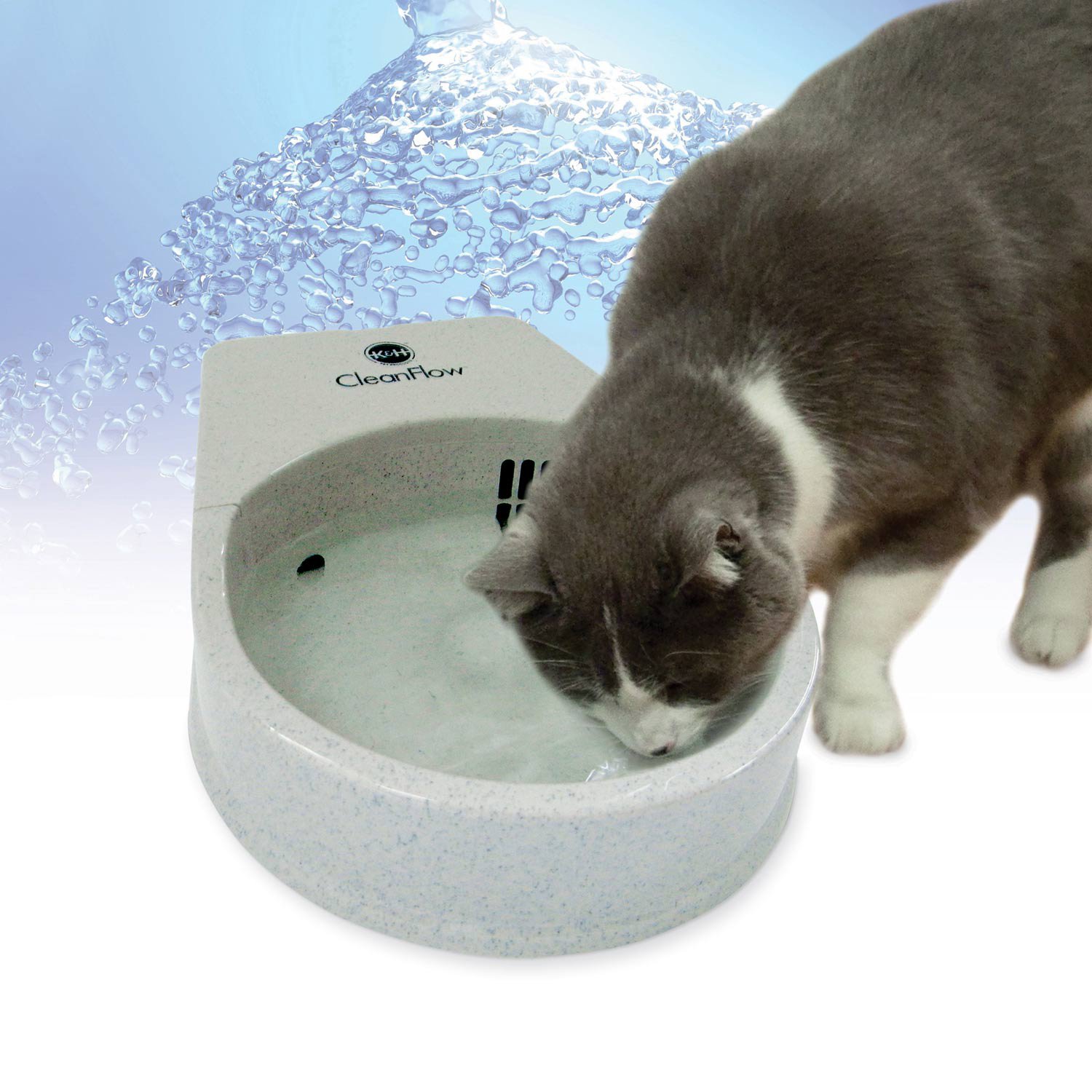 cat puts toys in water dish