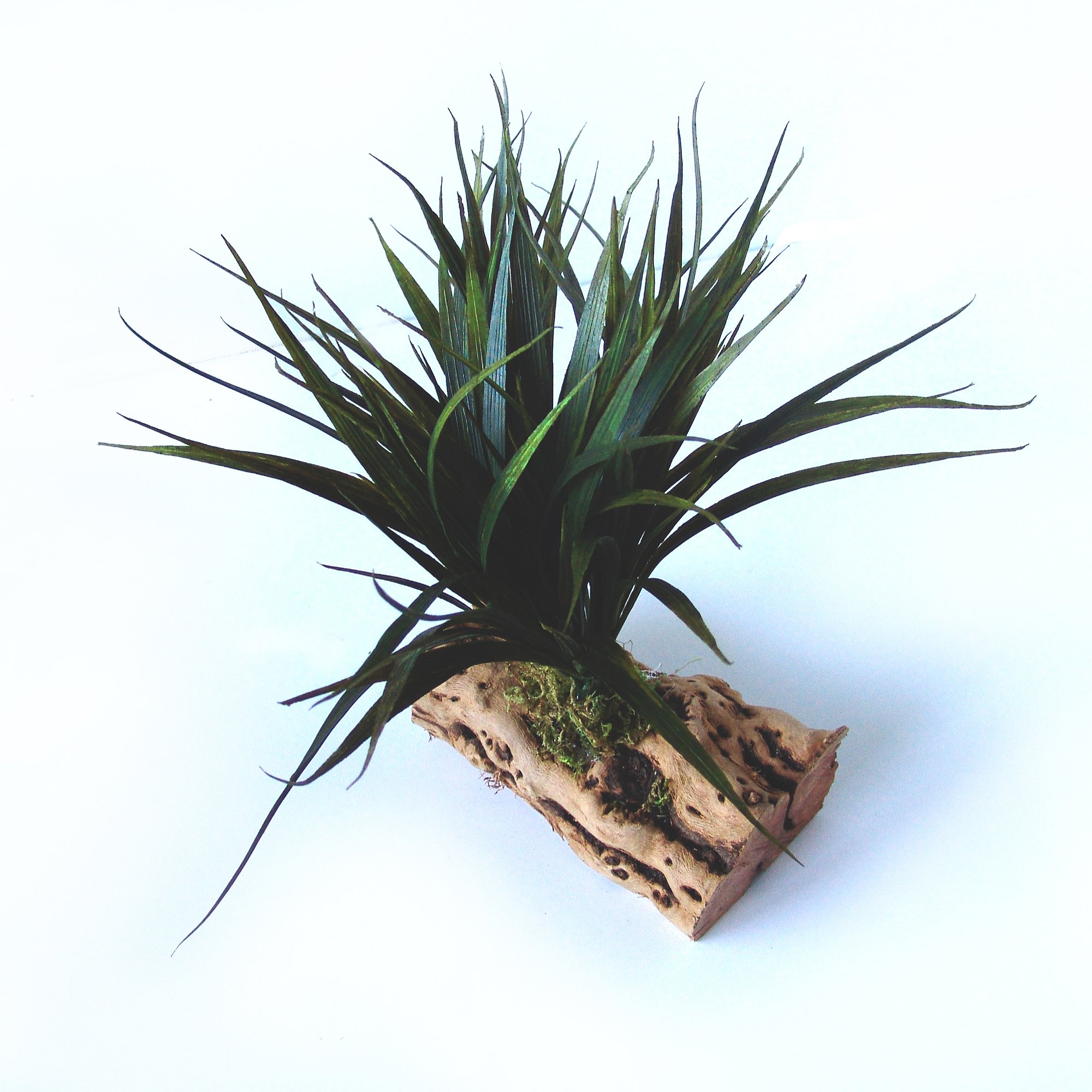Mac's Creations Reptile Grass Log Habitat Decor Petco