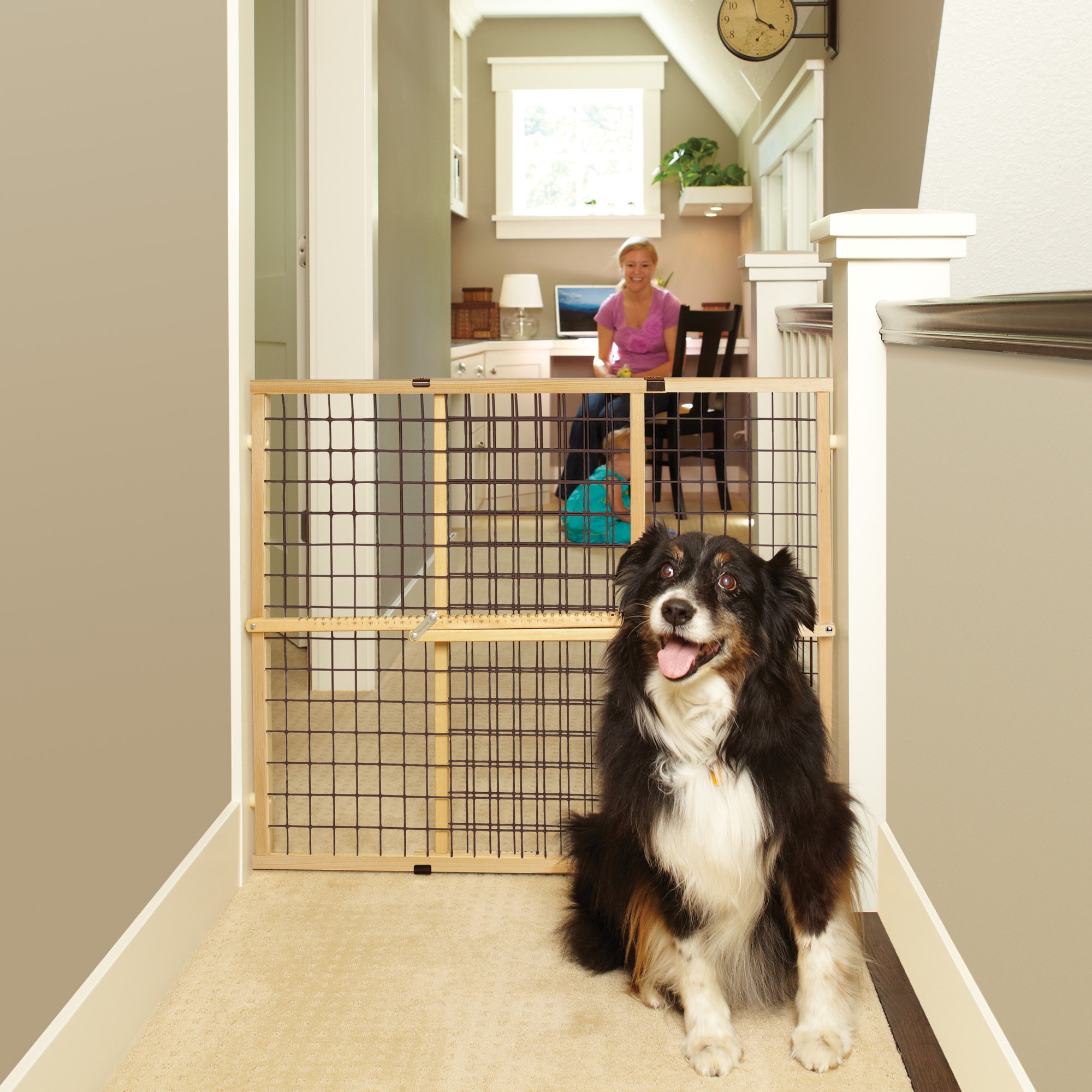 My Pet Wood Frame Wire Mesh Pet Gate Petco
