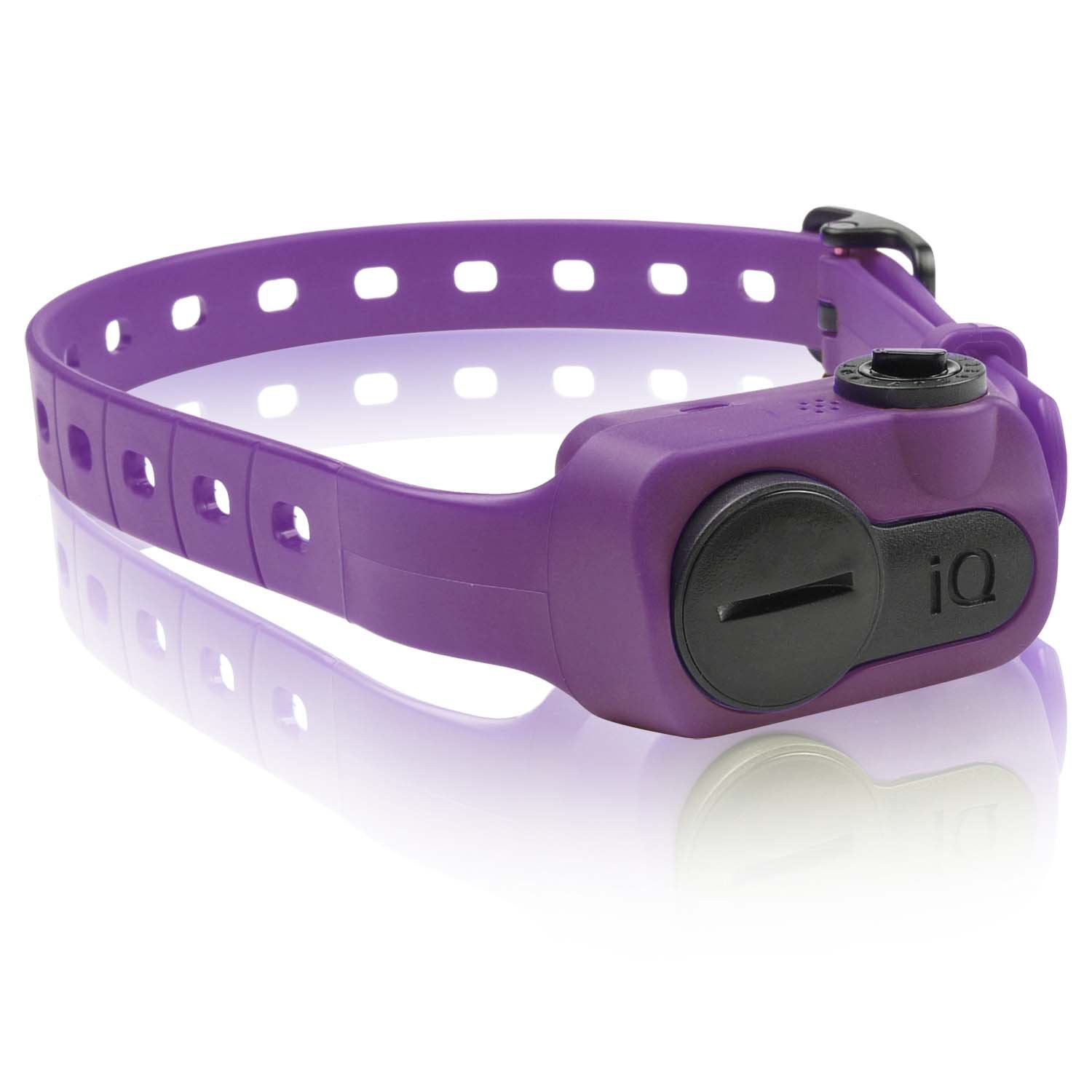 Dogtra iQ No Bark Dog Collar in Purple Petco
