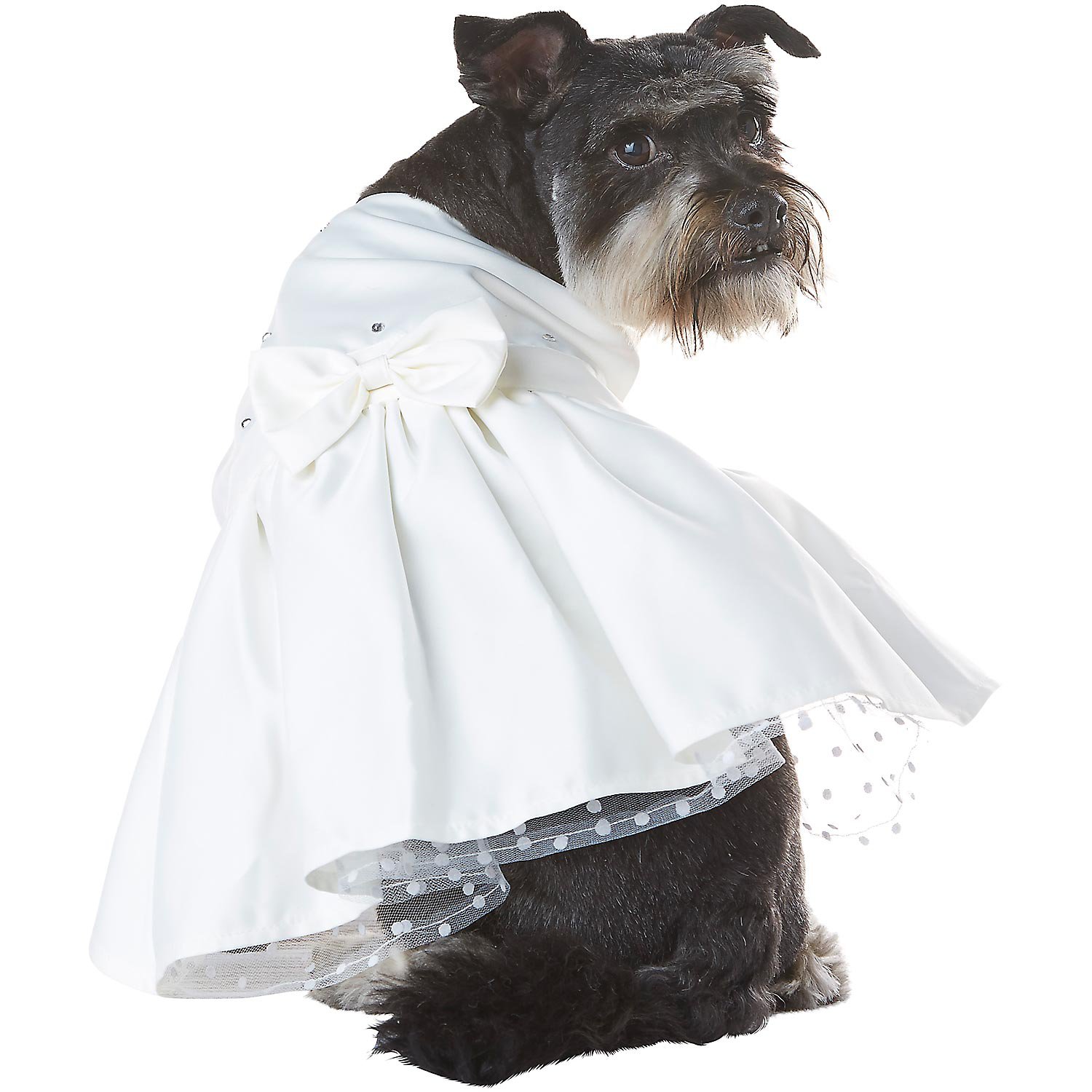 UPC 800443941522 product image for Petco Special Occasions Wedding Dog Bride Dress, Medium () | upcitemdb.com