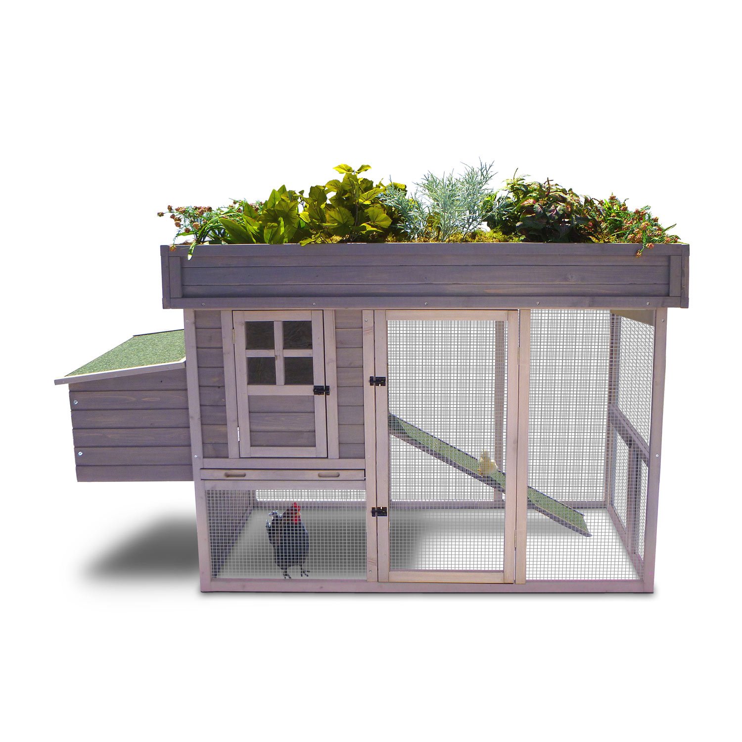 Precision Pet Garden Top Chicken Coop | Petco