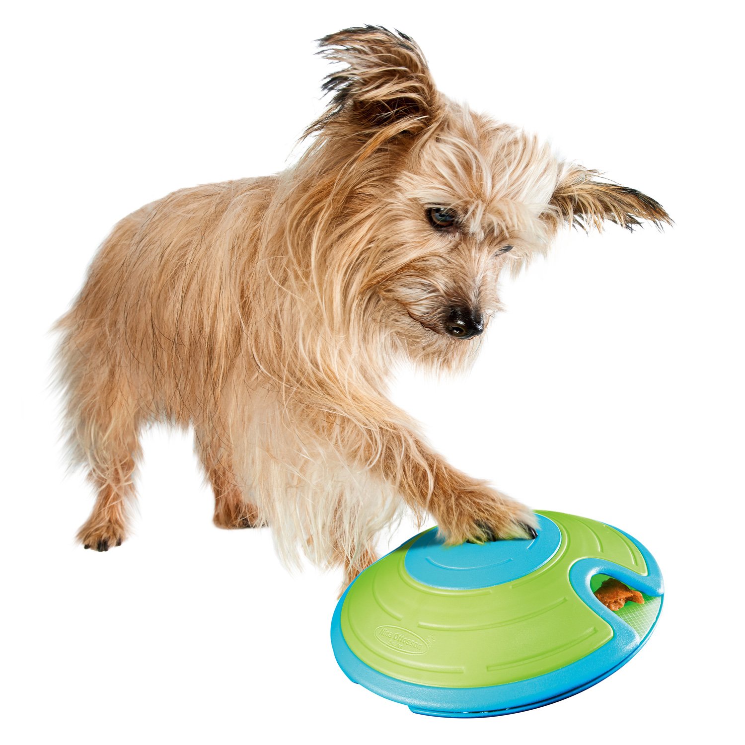 Dog Toys Dog Chew Toys, Dog Interactive Toys