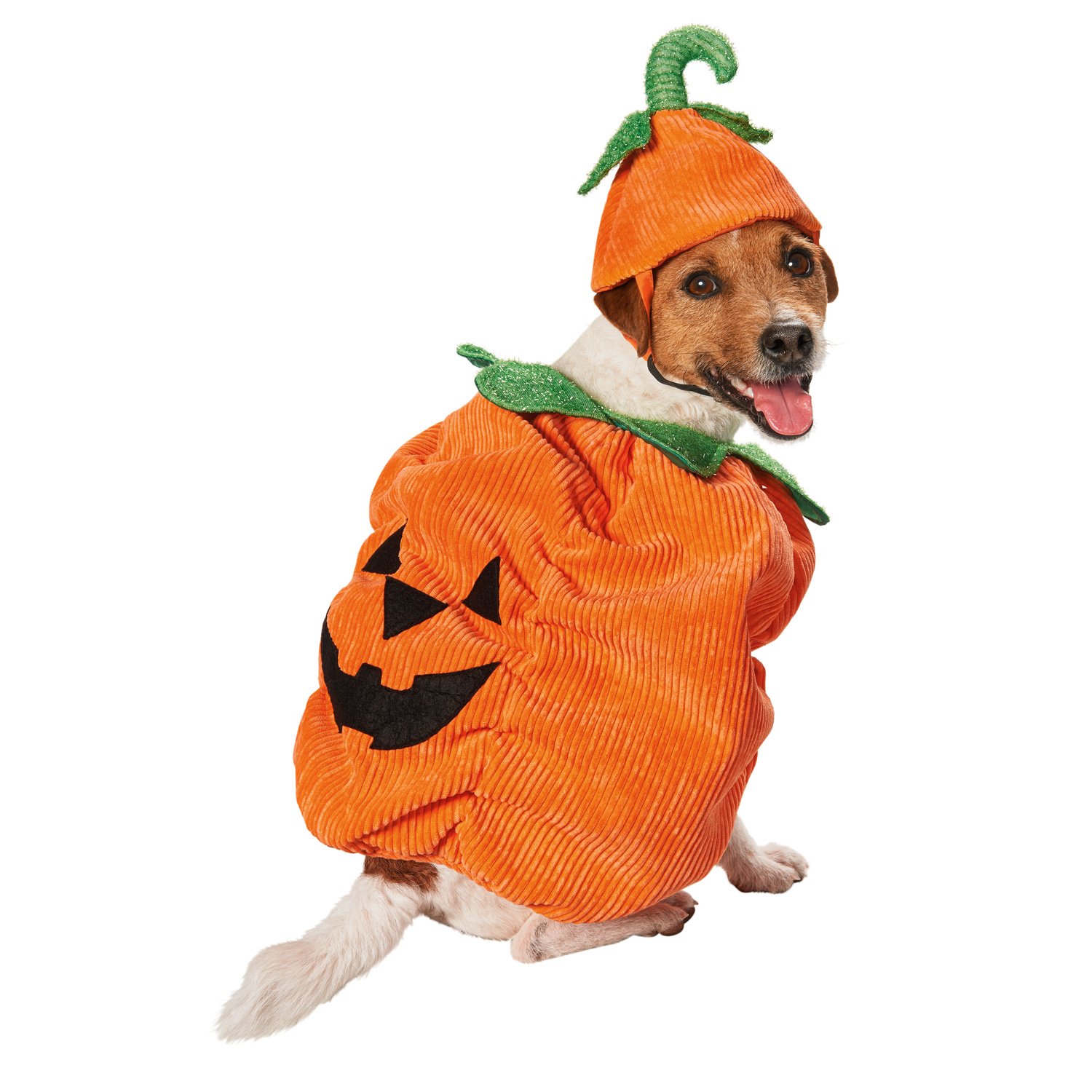 Halloween Dog Costumes Pawsome Doggie
