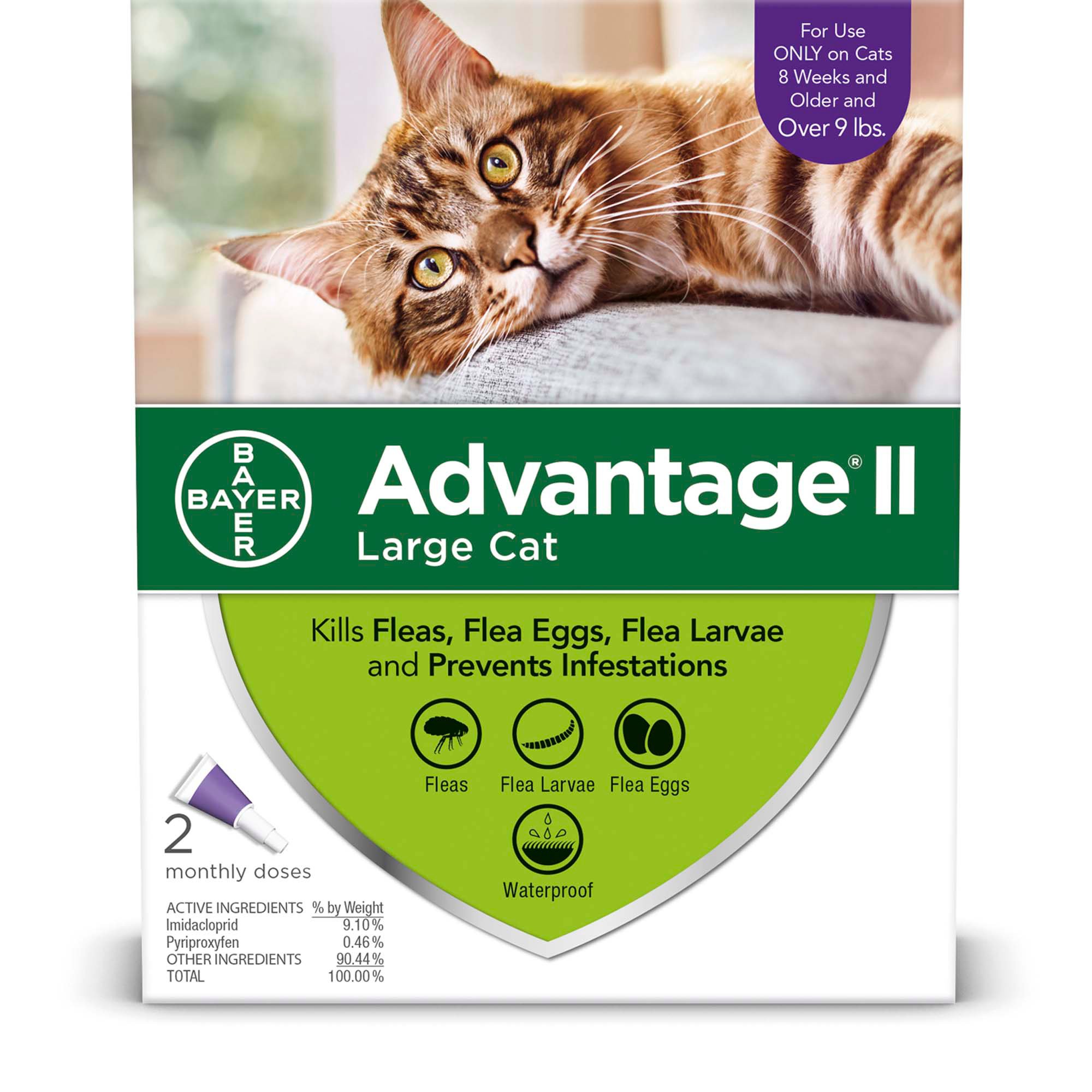 flea treatment for kittens under 8 weeks