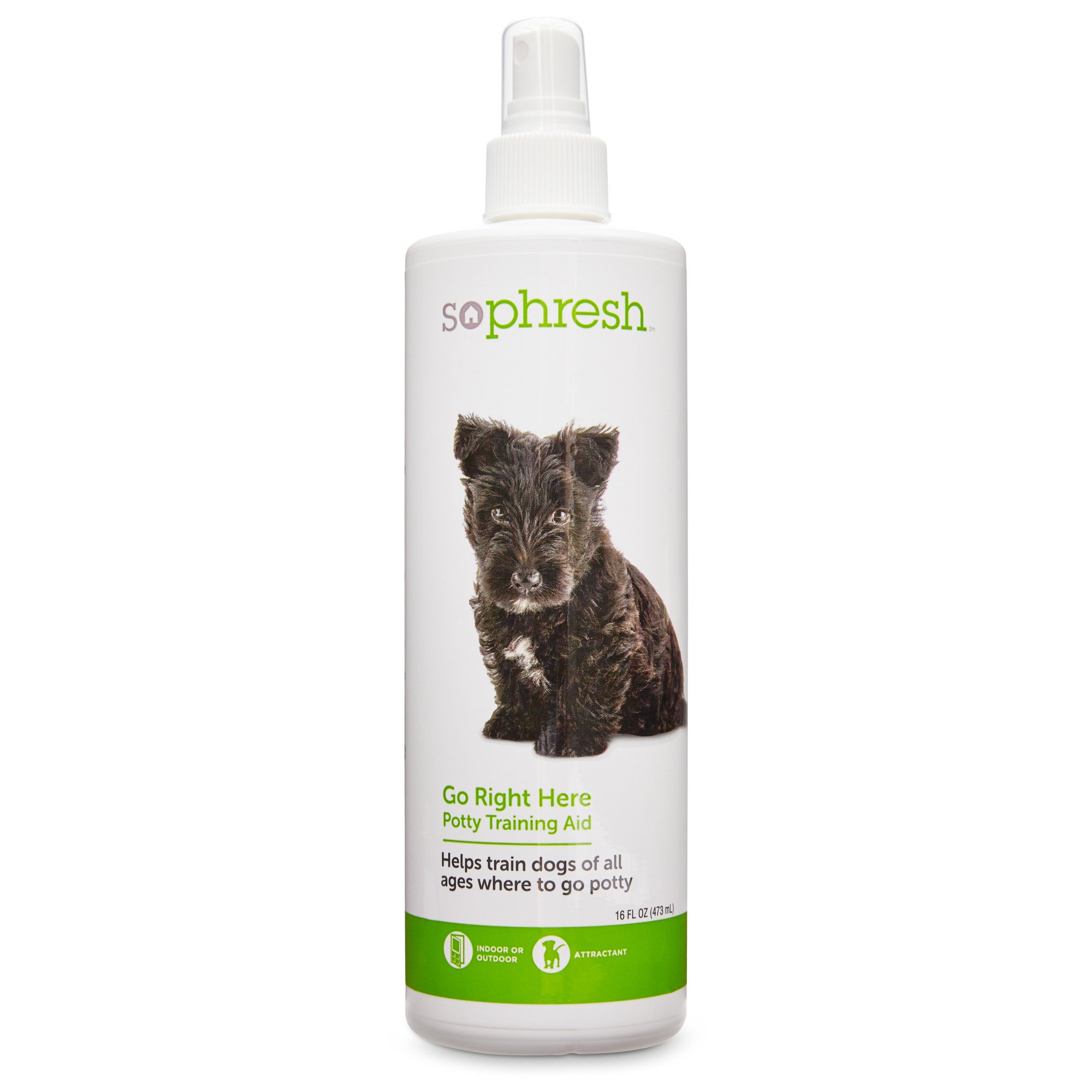 So Phresh Go Right Here Potty Training Spray | Petco