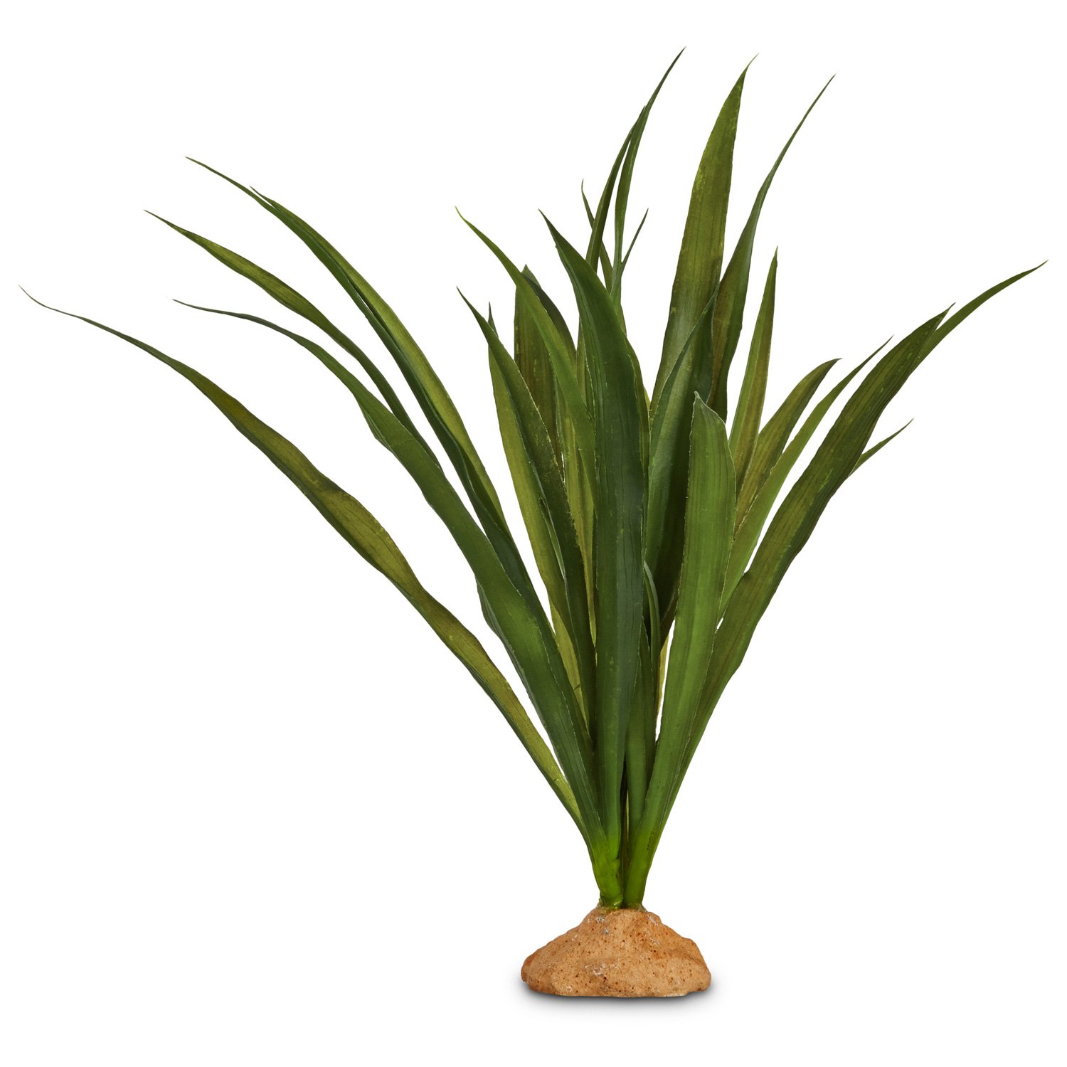 Petco Orchid Grass Terrarium Plant, 9" L X 13" H