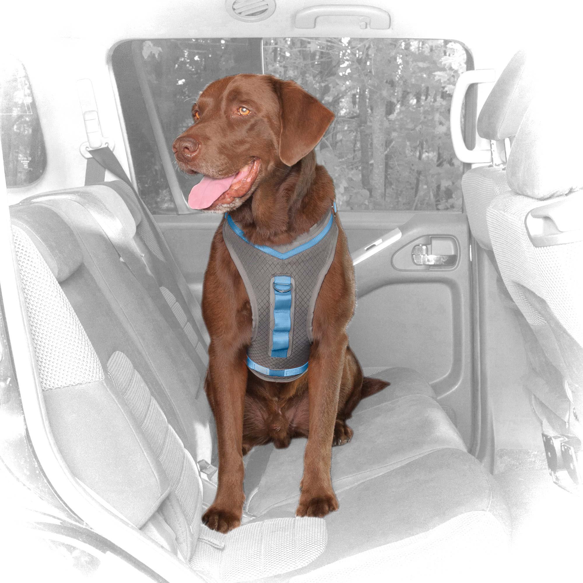 Kurgo Gray & Blue Journey Dog Harness Petco