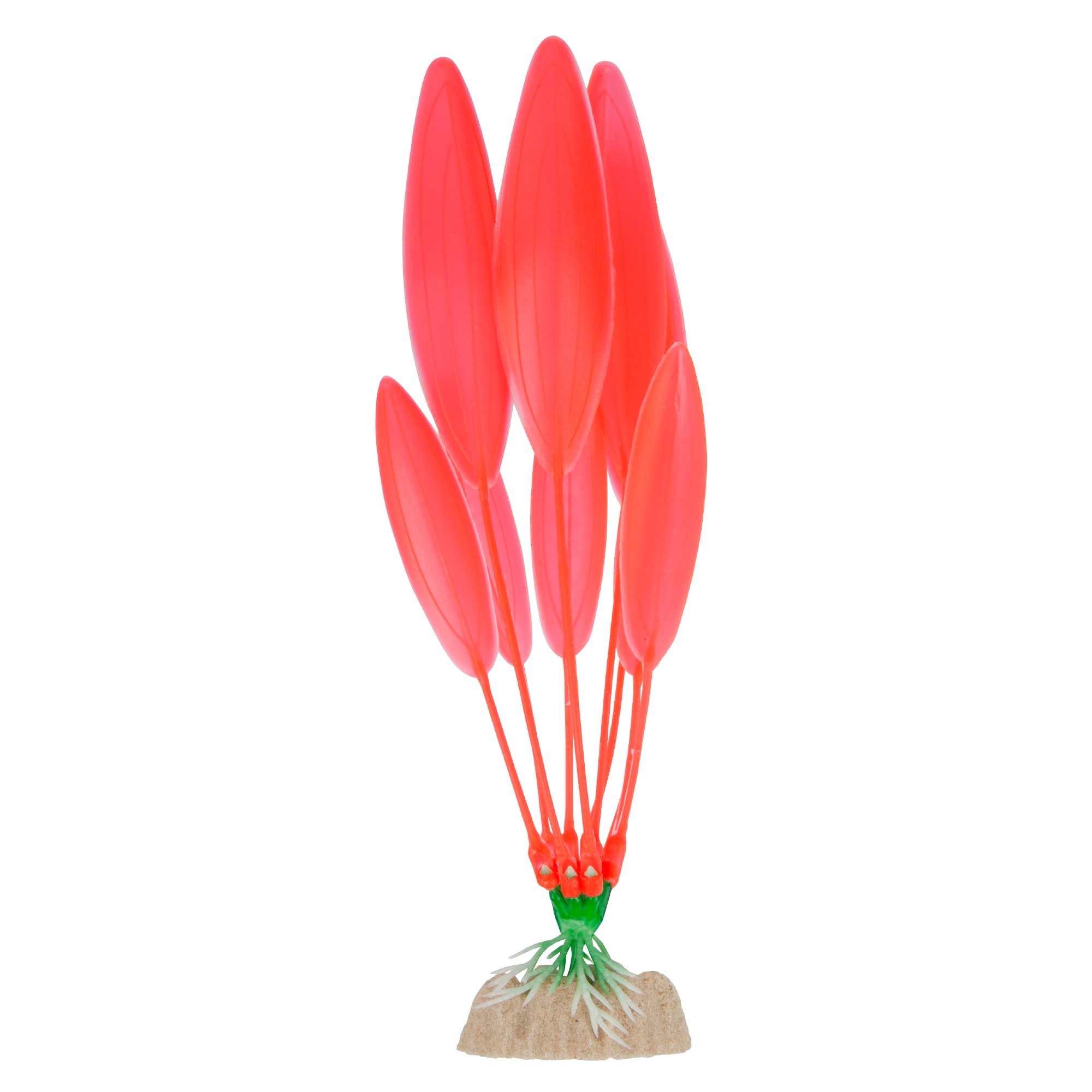 GloFish Orange Plant